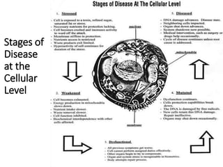 Stages of
Disease
at the
Cellular
Level
109
 