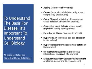 To Understand
The Basis For
Disease, It’s
Important To
Understand
Cell Biology
• Ageing (telomere shortening)
• Cancer (errors in cell division, migration,
cell polarity, growth, etc)
• Cystic fibrosis(misfolding of key protein
cause defect in calcium-ion channel)
• Congenital heart defects (errors in cell
migration during development)
• Food-borne illness (Salmonella, E. coli)
• Hypertension (defective cell-cell adhesion
in the kidney)
• Hypercholesterolemia (defective uptake of
lipoproteins)
• Lysosomal storage disease (defective
intracellular transport of enzymes)
• Muscular dystrophy (defective attachment
of plasma membrane to cytoskeleton)
11
All disease states are
caused at the cellular level
 