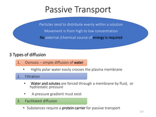 Passive Transport
Particles tend to distribute evenly within a solution
Movement is from high to low concentration
No external /chemical source of energy is required
3 Types of diffusion
1. Osmosis – simple diffusion of water
• Highly polar water easily crosses the plasma membrane
2. Filtration
• Water and solutes are forced through a membrane by fluid, or
hydrostatic pressure
• A pressure gradient must exist
3. Facilitated diffusion
• Substances require a protein carrier for passive transport
117
 