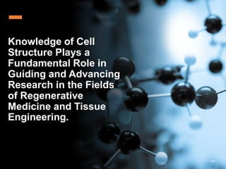 Knowledge of Cell
Structure Plays a
Fundamental Role in
Guiding and Advancing
Research in the Fields
of Regenerative
Medicine and Tissue
Engineering.
128
 