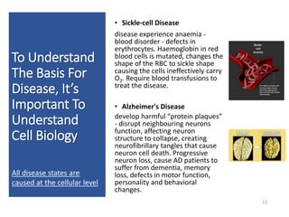• Sickle-cell Disease
disease experience anaemia -
blood disorder - defects in
erythrocytes. Haemoglobin in red
blood cells is mutated, changes the
shape of the RBC to sickle shape
causing the cells ineffectively carry
O2. Require blood transfusions to
treat the disease.
• Alzheimer's Disease
develop harmful “protein plaques”
- disrupt neighbouring neurons
function, affecting neuron
structure to collapse, creating
neurofibrillary tangles that cause
neuron cell death. Progressive
neuron loss, cause AD patients to
suffer from dementia, memory
loss, defects in motor function,
personality and behavioral
changes.
13
To Understand
The Basis For
Disease, It’s
Important To
Understand
Cell Biology
All disease states are
caused at the cellular level
 