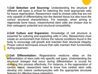 1.Cell Selection and Sourcing: Understanding the structure of
different cell types is critical for selecting the most appropriate cells
for tissue regeneration. Researchers need to choose cells that are not
only capable of differentiating into the desired tissue but also have the
correct structural characteristics. For example, when aiming to
regenerate bone tissue, mesenchymal stem cells are chosen due to
their osteogenic potential and structural compatibility.
2.Cell Culture and Expansion: Knowledge of cell structure is
essential for culturing and expanding cells in vitro. Researchers must
create an environment that mimics the natural conditions found in the
body to encourage cell growth and maintain their structural integrity.
Proper culture techniques ensure that cells maintain their functionality
during expansion.
3.Cell Differentiation: Regenerative medicine relies on the
differentiation of stem cells into specific cell types. Understanding the
structural changes that occur during differentiation is crucial for
directing this process effectively. For instance, in the regeneration of
cardiac tissue, researchers need to know how cardiac stem cells
develop into mature cardiomyocytes with the appropriate structural
130
 