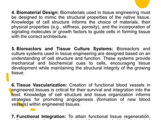 4. Biomaterial Design: Biomaterials used in tissue engineering must
be designed to mimic the structural properties of the native tissue.
Knowledge of cell structure informs the choice of materials, their
physical properties (e.g., stiffness, porosity), and the incorporation of
signaling molecules or growth factors to guide cells in forming tissue
with the correct architecture.
5. Bioreactors and Tissue Culture Systems: Bioreactors and
culture systems used in tissue engineering are designed based on an
understanding of cell structure and function. These systems provide
mechanical and biochemical cues to cells, encouraging tissue
development while maintaining the structural integrity of the growing
tissue.
6. Tissue Vascularization: Creation of functional blood vessels in
engineered tissues is critical for their survival and integration into the
host. Knowledge of cell structure and tissue organization informs
strategies for promoting angiogenesis (formation of new blood
vessels) within engineered tissues.
7. Functional Integration: To attain functional tissue regeneration,
131
 