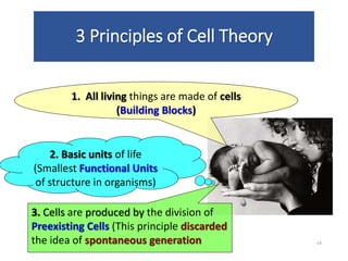 3 Principles of Cell Theory
14
2. Basic units of life
(Smallest Functional Units
of structure in organisms)
3. Cells are produced by the division of
Preexisting Cells (This principle discarded
the idea of spontaneous generation
1. All living things are made of cells
(Building Blocks)
 
