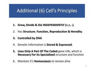 Additional (6) Cell’s Principles
1. Grow, Divide & Die INDEPENDENTLY (+,÷, -).
2. Has Structure, Function, Reproduction & Heredity.
3. Controlled by DNA
4. Genetic information is Stored & Expressed.
5. Uses Only A Part Of The Coded gene info, which is
Necessary For Its Specialized structure and function
6. Maintain it’s Homeostasis to remain alive
15
 