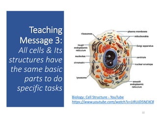 Teaching
Message 3:
All cells & Its
structures have
the same basic
parts to do
specific tasks
32
Biology: Cell Structure - YouTube
https://www.youtube.com/watch?v=URUJD5NEXC8
 