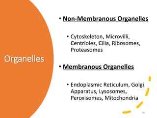 Organelles
• Non-Membranous Organelles
• Cytoskeleton, Microvilli,
Centrioles, Cilia, Ribosomes,
Proteasomes
• Membranous Organelles
• Endoplasmic Reticulum, Golgi
Apparatus, Lysosomes,
Peroxisomes, Mitochondria
56
 