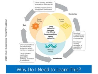 Why Do I Need to Learn This? 6
CREDIT:
KELLIE
HOLOSKI/SCIENCE
TRANSLATIONAL
MEDICINE
 