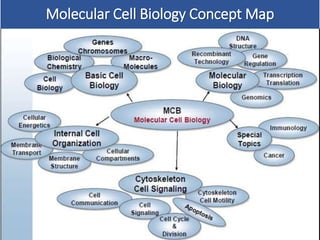 Molecular Cell Biology Concept Map
7
 