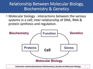 Relationship Between Molecular Biology,
Biochemistry & Genetics
• Molecular biology - interactions between the various
systems in a cell; inter-relationship of DNA, RNA &
protein synthesis and regulation.
8
Function
Genes
Proteins
Biochemistry
Molecular Biology
Genetics
Schematic relationship between Biochemistry, Genetics & Molecular Biology
Cell
 