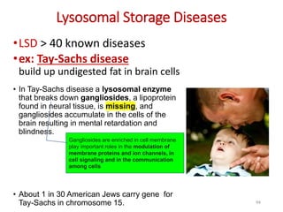 Lysosomal Storage Diseases
•LSD > 40 known diseases
•ex: Tay-Sachs disease
build up undigested fat in brain cells
• In Tay-Sachs disease a lysosomal enzyme
that breaks down gangliosides, a lipoprotein
found in neural tissue, is missing, and
gangliosides accumulate in the cells of the
brain resulting in mental retardation and
blindness.
• About 1 in 30 American Jews carry gene for
Tay-Sachs in chromosome 15. 94
Gangliosides are enriched in cell membrane
play important roles in the modulation of
membrane proteins and ion channels, in
cell signaling and in the communication
among cells
 