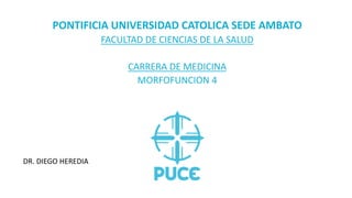 PONTIFICIA UNIVERSIDAD CATOLICA SEDE AMBATO
FACULTAD DE CIENCIAS DE LA SALUD
CARRERA DE MEDICINA
MORFOFUNCION 4
DR. DIEGO HEREDIA
 