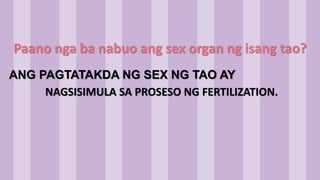 Paano nga ba nabuo ang sex organ ng isang tao?
ANG PAGTATAKDA NG SEX NG TAO AY
NAGSISIMULA SA PROSESO NG FERTILIZATION.
 