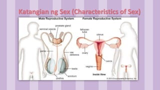 Katangian ng Sex (Characteristics of Sex)
 