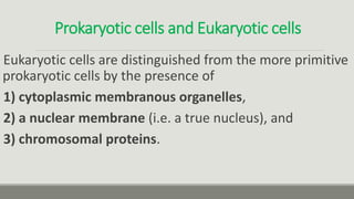 Prokaryotic cells and Eukaryotic cells
Eukaryotic cells are distinguished from the more primitive
prokaryotic cells by the presence of
1) cytoplasmic membranous organelles,
2) a nuclear membrane (i.e. a true nucleus), and
3) chromosomal proteins.
 