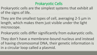 Prokaryotic Cells
Prokaryotic cells are the simplest systems that exhibit all
of the signs of life.
They are the smallest types of cell, averaging 2-5 μm in
length, which makes them just visible under the light
microscope.
Prokaryotic cells differ significantly from eukaryotic cells.
They don't have a membrane-bound nucleus and instead
of having chromosomal DNA, their genetic information is
in a circular loop called a plasmid.
 