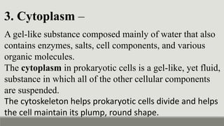 3. Cytoplasm –
A gel-like substance composed mainly of water that also
contains enzymes, salts, cell components, and various
organic molecules.
The cytoplasm in prokaryotic cells is a gel-like, yet fluid,
substance in which all of the other cellular components
are suspended.
The cytoskeleton helps prokaryotic cells divide and helps
the cell maintain its plump, round shape.
 