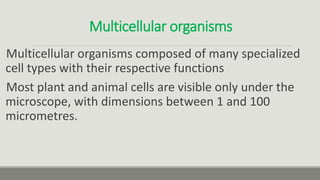Multicellular organisms
Multicellular organisms composed of many specialized
cell types with their respective functions
Most plant and animal cells are visible only under the
microscope, with dimensions between 1 and 100
micrometres.
 