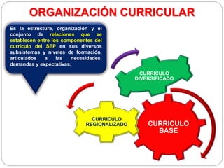 ORGANIZACIÓN CURRICULAR
CURRICULO
BASE
CURRICULO
REGIONALIZADO
CURRICULO
DIVERSIFICADO
Es la estructura, organización y el
conjunto de relaciones que se
establecen entre los componentes del
currículo del SEP en sus diversos
subsistemas y niveles de formación,
articulados a las necesidades,
demandas y expectativas.
 