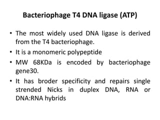 1. Study of cloning vectors, restriction endonucleases and DNA ligase.pptx