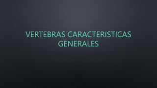 VERTEBRAS CARACTERISTICAS
GENERALES
 