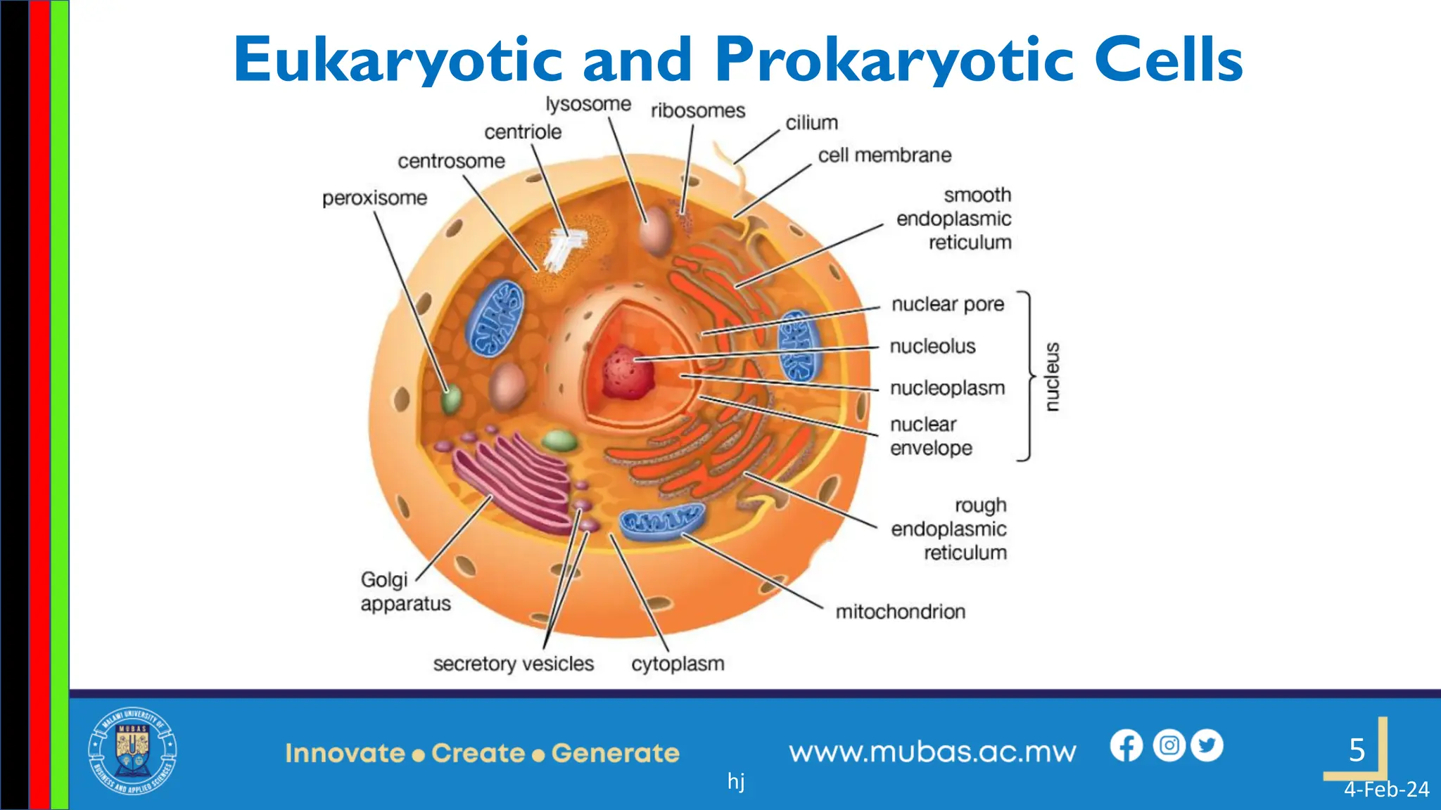 1. Prokaryotic and Eukaryotic Cells ppt.pdf