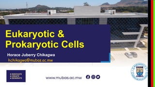 Eukaryotic &
Prokaryotic Cells
Horace Juberry Chikagwa
hchikagwa@mubas.ac.mw
 