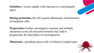 12
Initiation :- occurs rapidly with exposure to a carcinogenic
agent .
During promotion, the cell acquires phenotypic characteristics
of malignant cells.
Progression:-Further carcinogenic exposure and multiple
alterations to the cell microenvironment may lead to
progression, the final phase of carcinogenesis.
Metastasis:- spreading cancer cells via blood or lymph nodes.
 