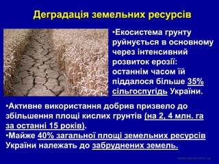 Деградація земельних ресурсів
•Активне використання добрив призвело до
збільшення площі кислих грунтів (на 2, 4 млн. га
за останні 15 років).
•Майже 40% загальної площі земельних ресурсів
України належать до забруднених земель.
•Екосистема грунту
руйнується в основному
через інтенсивний
розвиток ерозії:
останнім часом їй
піддалося більше 35%
сільгоспугідь України.
 