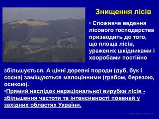 Знищення лісів
• Споживче ведення
лісового господарства
призводить до того,
що площа лісів,
уражених шкідниками і
хворобами постійно
збільшується. А цінні деревні породи (дуб, бук і
сосна) заміщуються малоцінними (грабом, березою,
осикою).
•Прямий наслідок нераціональної вирубки лісів -
збільшення частоти та інтенсивності повеней у
західних областях України.
 