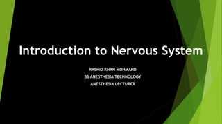 Introduction to Nervous System
RASHID KHAN MOHMAND
BS ANESTHESIA TECHNOLOGY
ANESTHESIA LECTURER
 