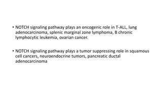 • NOTCH signaling pathway plays an oncogenic role in T-ALL, lung
adenocarcinoma, splenic marginal zone lymphoma, B chronic
lymphocytic leukemia, ovarian cancer.
• NOTCH signaling pathway plays a tumor suppressing role in squamous
cell cancers, neuroendocrine tumors, pancreatic ductal
adenocarcinoma
 