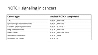 NOTCH signaling in cancers
Cancer type Involved NOTCH components
T-ALL NOTCH 1, NOTCH 3
Splenic marginal zone lymphoma NOTCH 1, NOTCH 2
B chronic lymphocytic leukemia NOTCH 1-2, JAG 1-2
Lung adenocarcinoma NOTCH 1, NOTCH 3
Breast cancer NOTCH 1, NOTCH 4, JAG 1
Neuroendocrine tumors NOTCH 1, DLL3
Squamous cell cancers NOTCH 1-3
 
