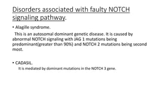 Disorders associated with faulty NOTCH
signaling pathway.
• Alagille syndrome.
This is an autosomal dominant genetic disease. It is caused by
abnormal NOTCH signaling with JAG 1 mutations being
predominant(greater than 90%) and NOTCH 2 mutations being second
most.
• CADASIL.
It is mediated by dominant mutations in the NOTCH 3 gene.
 
