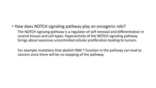 • How does NOTCH signaling pathway play an oncogenic role?
The NOTCH signaing pathway is a regulator of self renewal and differentiation in
several tissues and cell types. Hyperactivity of the NOTCH signaling pathway
brings about excessive uncontrolled cellular proliferation leading to tumors.
For example mutations that abolish FBW 7 function in the pathway can lead to
cancers since there will be no stopping of the pathway.
 