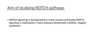 Aim of studying NOTCH pathway.
• NOTCH signaling is dysregulated in many cancers and faulty NOTCH
signaling is implicated in many diseases forexample CADASIL, Alagille
syndrome.
 
