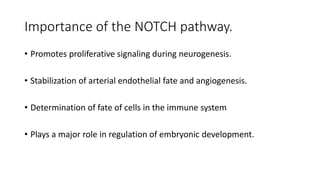Importance of the NOTCH pathway.
• Promotes proliferative signaling during neurogenesis.
• Stabilization of arterial endothelial fate and angiogenesis.
• Determination of fate of cells in the immune system
• Plays a major role in regulation of embryonic development.
 