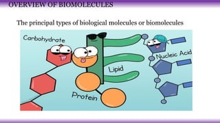 Intro to biochemistry and cell pdf reviewer | PDF