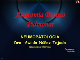 CM
Anatomía Bronco
Pulmonar
NEUMOPATOLOGÍA
Dra. Awilda Núñez Tejada
Neumóloga-Internista
Temporada I
Capítulo 1
 