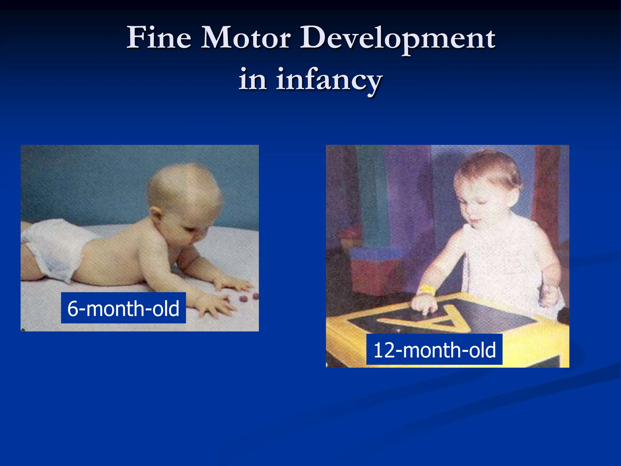 Fine Motor Development
in infancy
6-month-old
12-month-old
 