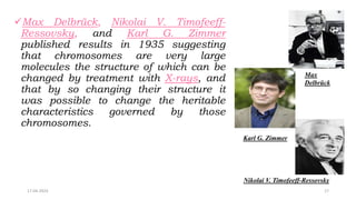 Timofeeff 1. Introduction to Molecular Biology.pptx