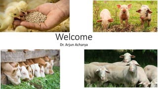 Welcome
Dr. Arjun Acharya
 