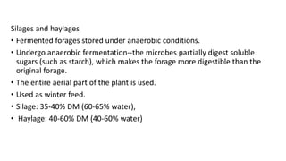 1.Terminology of Animal Nutritionnn.pptx