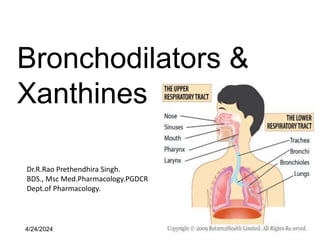 Bronchodilators &
Xanthines
4/24/2024 1
Dr.R.Rao Prethendhira Singh.
BDS., Msc Med.Pharmacology.PGDCR
Dept.of Pharmacology.
 