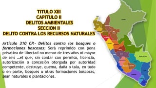 TITULO XIII
CAPITULO II
DELITOS AMBIENTALES
SECCION II
DELITO CONTRA LOS RECURSOS NATURALES
Artículo 310 CP.- Delitos contra los bosques o
formaciones boscosas: Será reprimido con pena
privativa de libertad no menor de tres años ni mayor
de seis …el que, sin contar con permiso, licencia,
autorización o concesión otorgada por autoridad
competente, destruye, quema, daña o tala, en todo
o en parte, bosques u otras formaciones boscosas,
sean naturales o plantaciones.
 