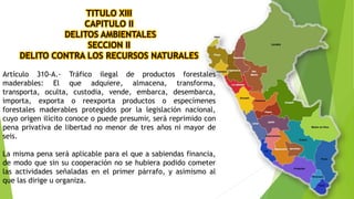 TITULO XIII
CAPITULO II
DELITOS AMBIENTALES
SECCION II
DELITO CONTRA LOS RECURSOS NATURALES
Artículo 310-A.- Tráfico ilegal de productos forestales
maderables: El que adquiere, almacena, transforma,
transporta, oculta, custodia, vende, embarca, desembarca,
importa, exporta o reexporta productos o especímenes
forestales maderables protegidos por la legislación nacional,
cuyo origen ilícito conoce o puede presumir, será reprimido con
pena privativa de libertad no menor de tres años ni mayor de
seis.
La misma pena será aplicable para el que a sabiendas financia,
de modo que sin su cooperación no se hubiera podido cometer
las actividades señaladas en el primer párrafo, y asimismo al
que las dirige u organiza.
 