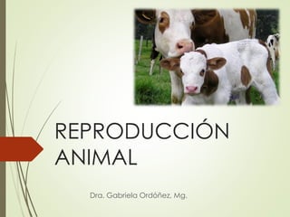 REPRODUCCIÓN
ANIMAL
Dra. Gabriela Ordóñez, Mg.
 