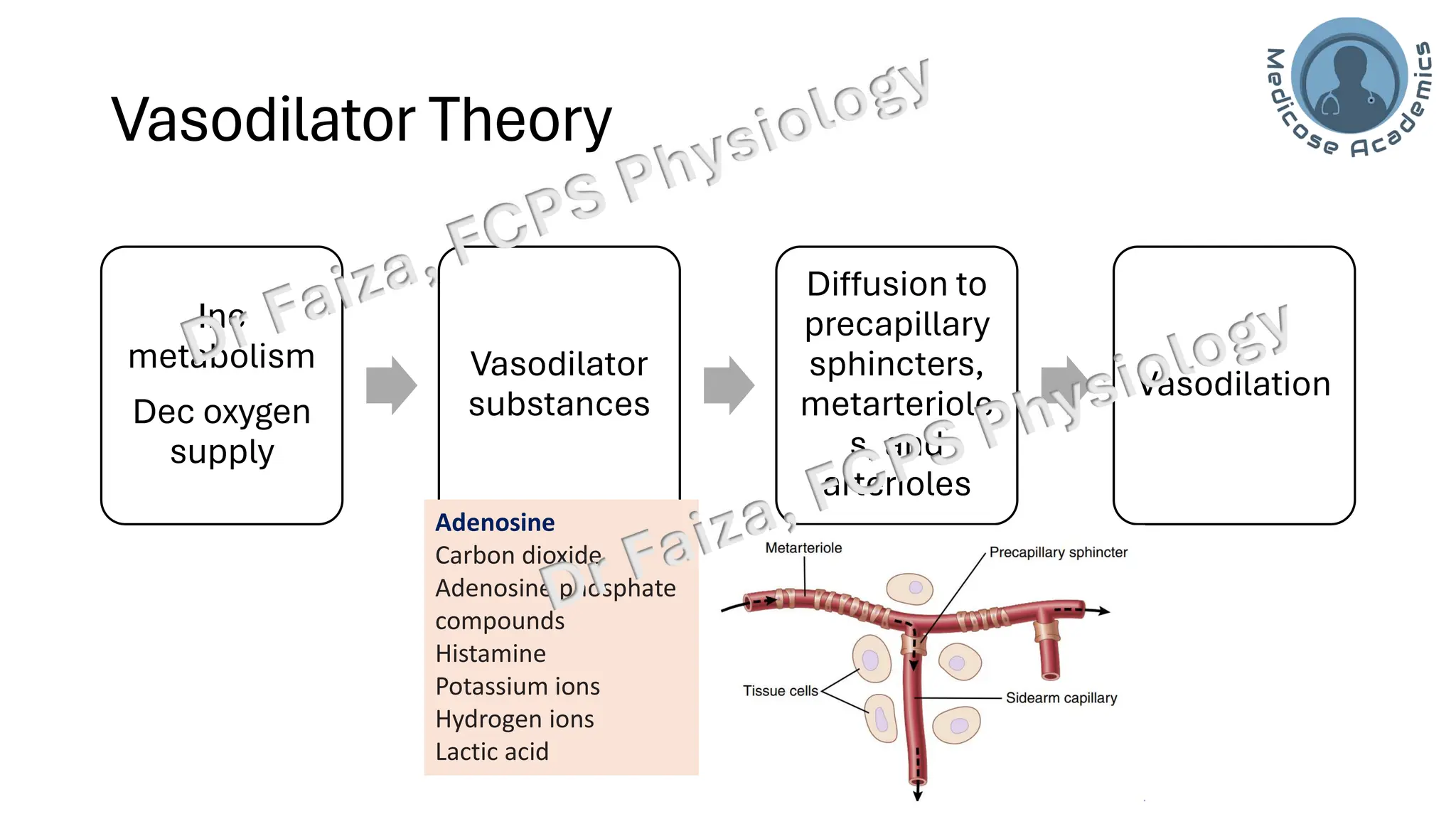 Control of Local Blood Flow: acute and chronic | PDF