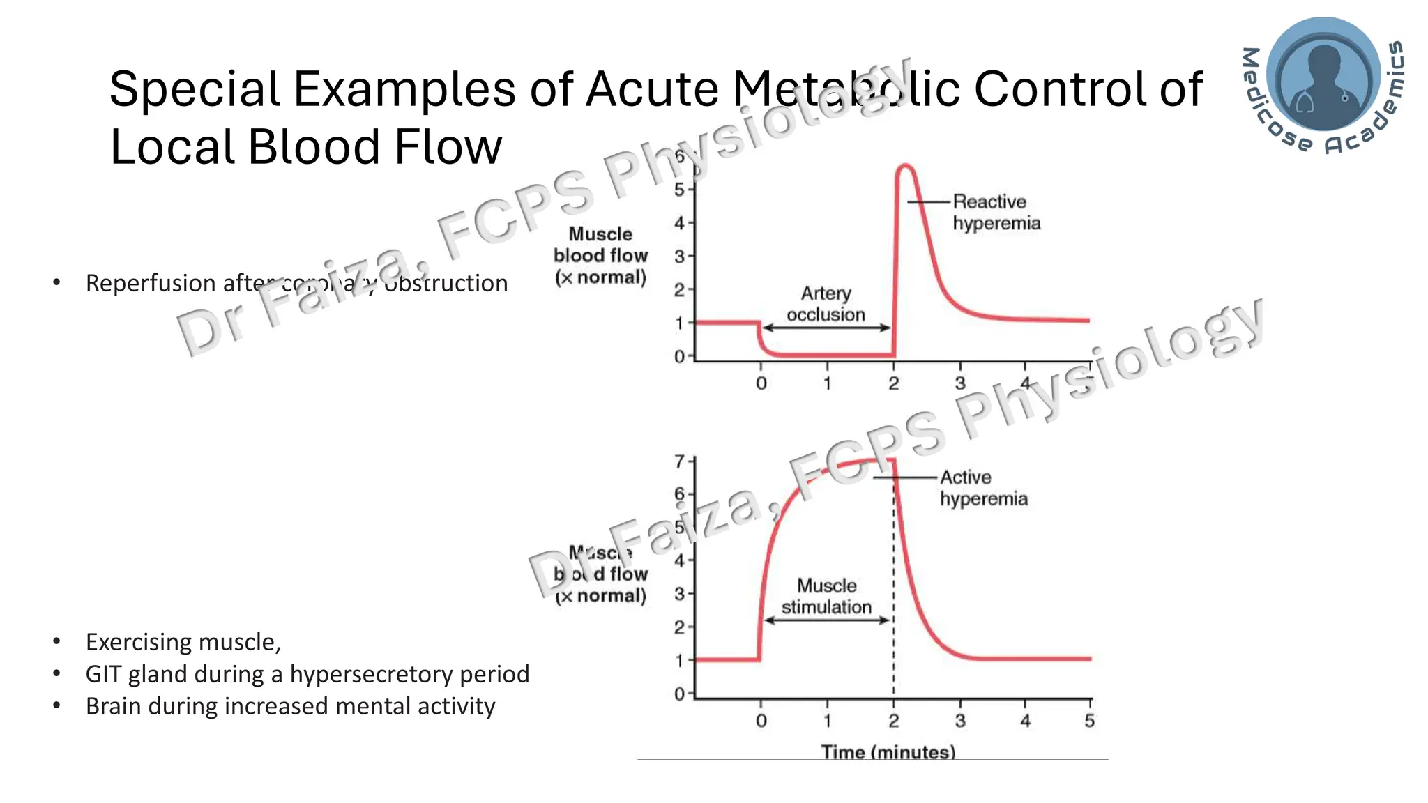 Control of Local Blood Flow acute and chronic PPT