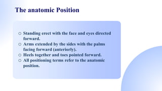 1. Radiology Positioning_By Anupam Das | PDF